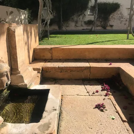 شقة O Convento Das Bernardas
